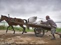rural cambodia